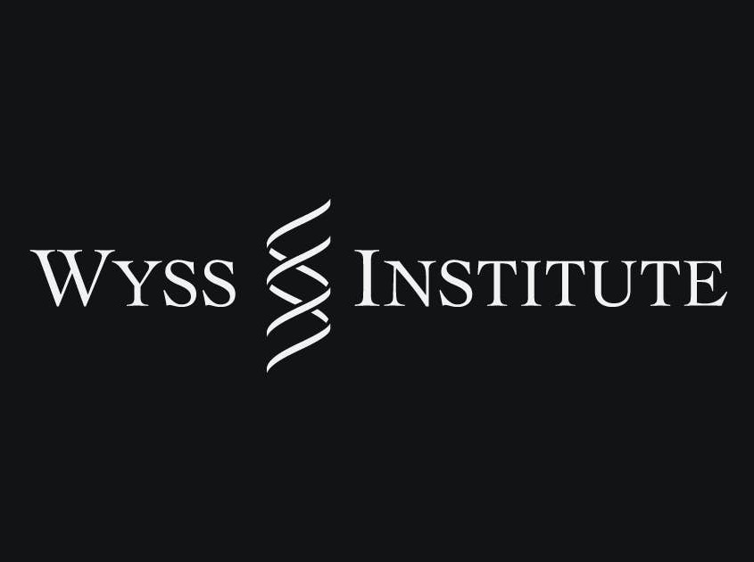 Wyss Institute, image by Harvard University