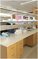 lab instrumentation casework fabwall with lower cabinet storage