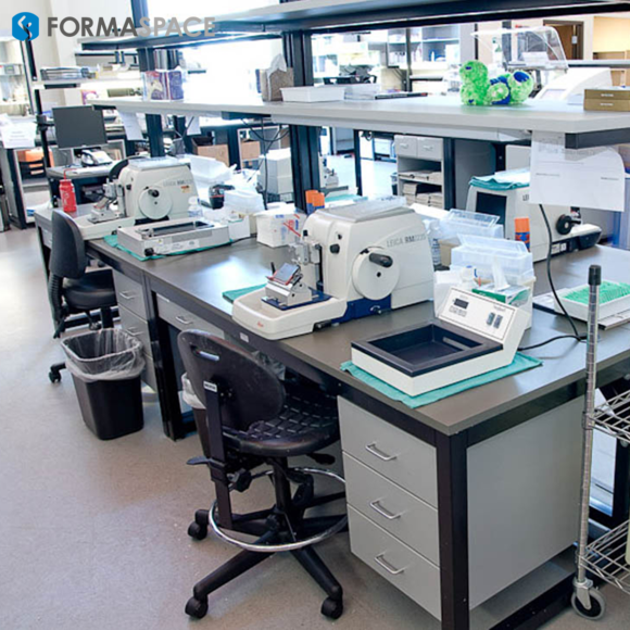 Shown above is a clinical testing lab custom designed for processing specimens.