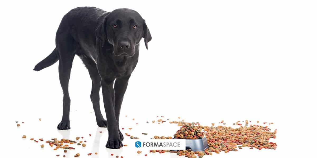 Formaspace pet food testing laboratory discussion