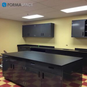 Chemical Resistant Steel Casework with Upper & Lower Storage