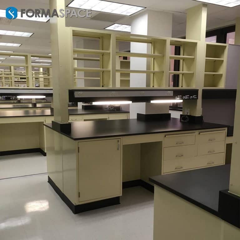 Chemical Resistant Casework w/ Lab Service Connection & Fume Hoods