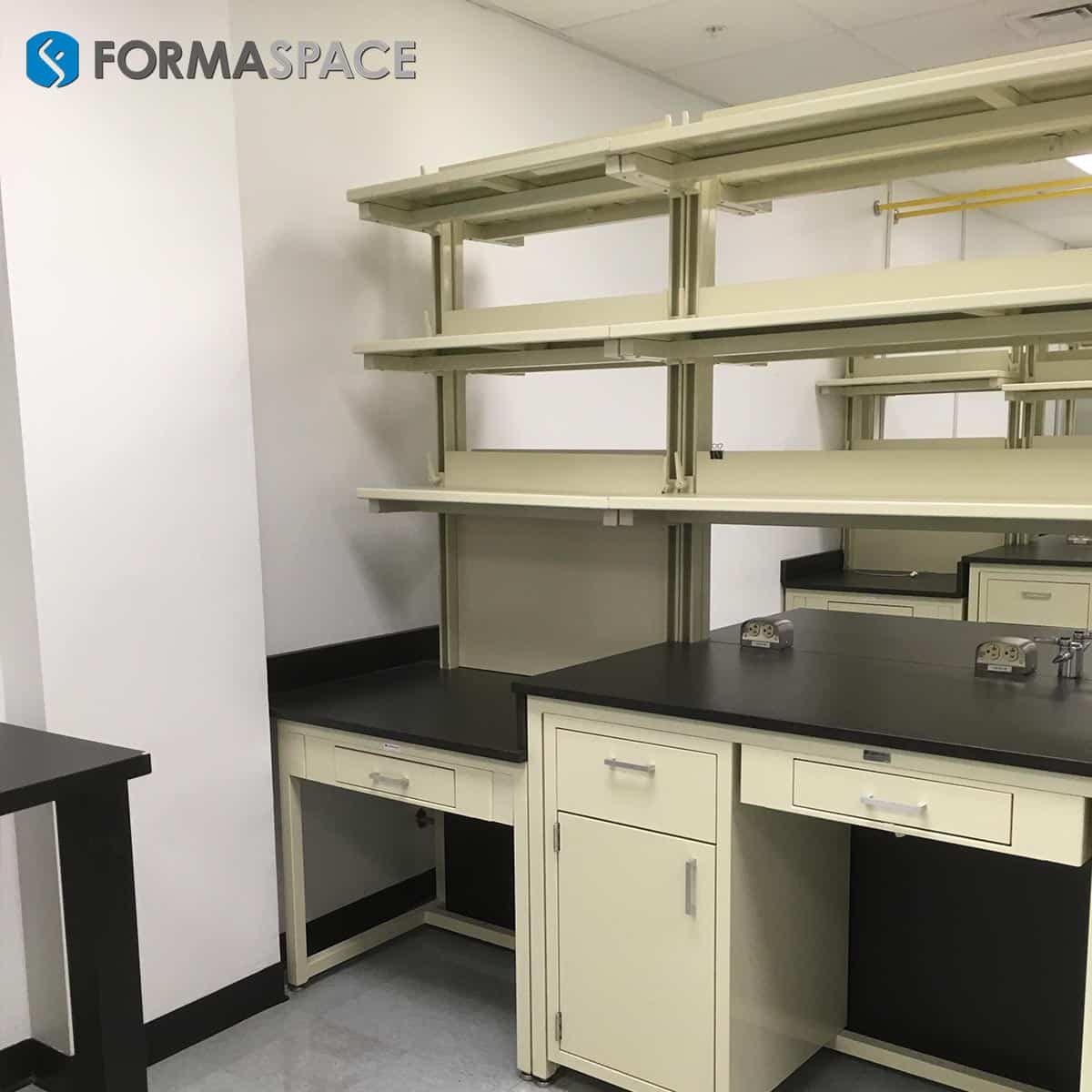 casework and reagent shelves