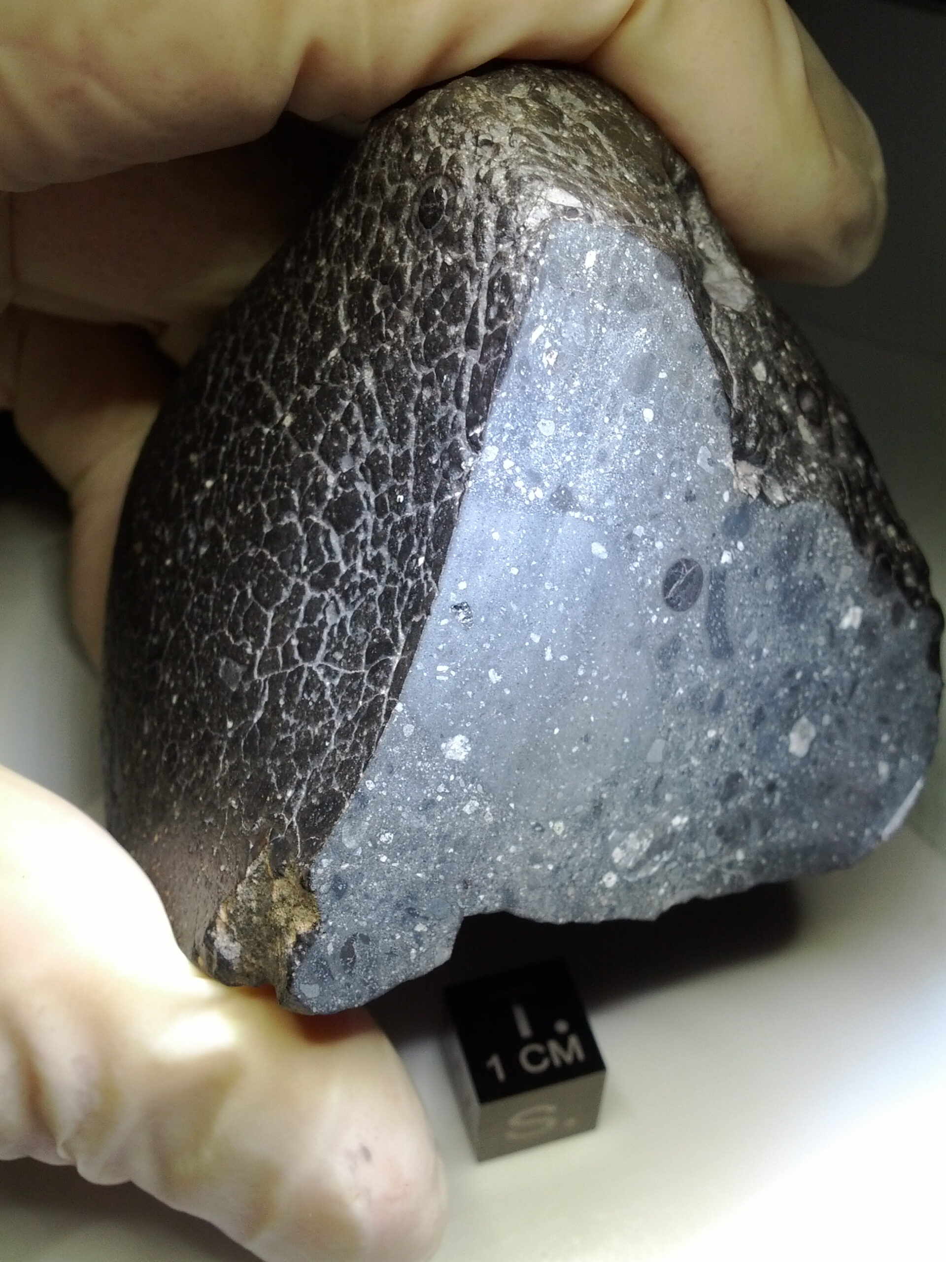 black beauty mars meteorite