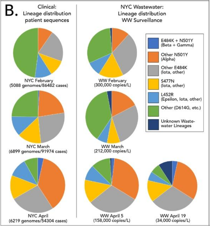 correlation between sars-cov-2 in patients with wastewater surveillance