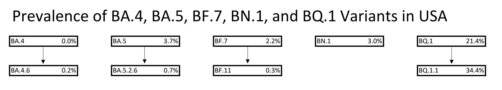 chart showing prevalence of BA.4, BA.5, BF.7, BN.1, and BQ variants in USA