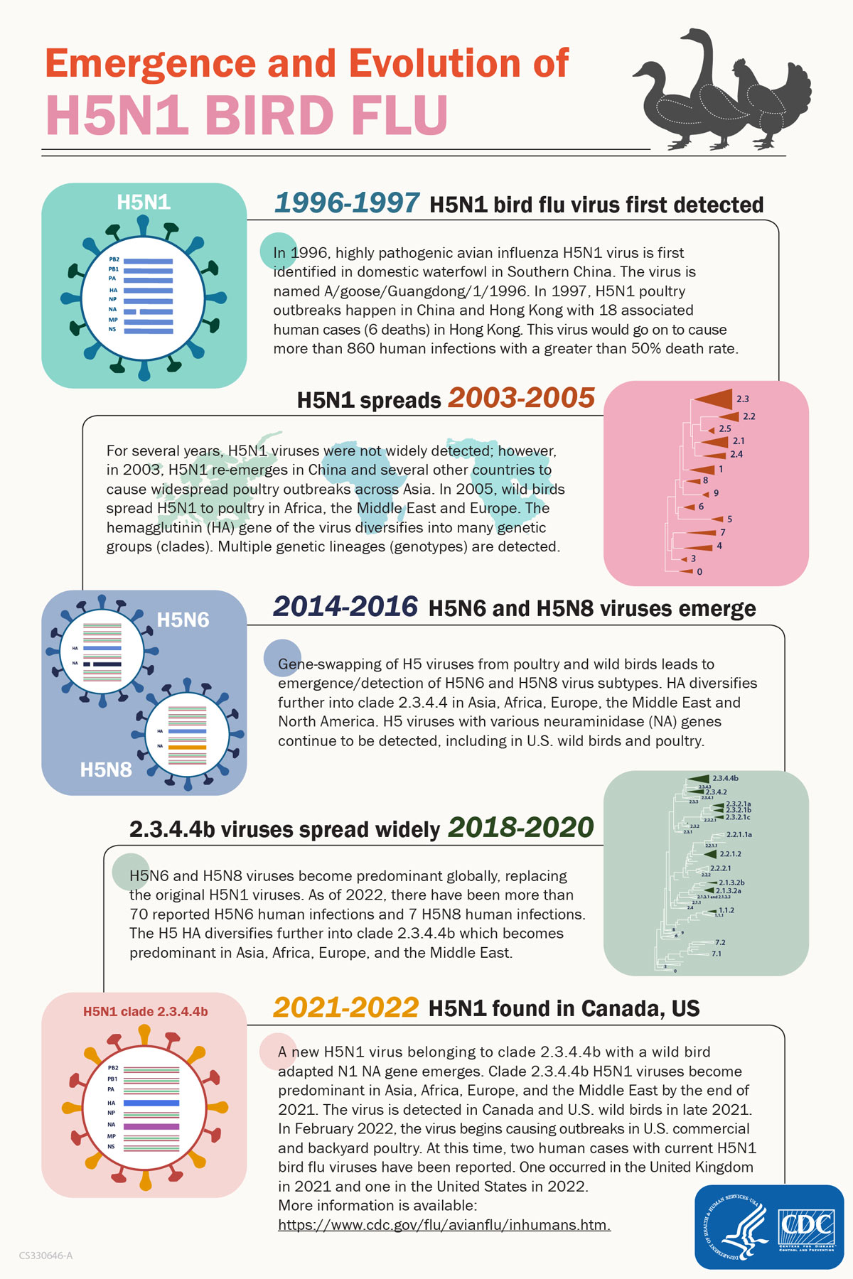 emergence and evolution of bird flu infographic