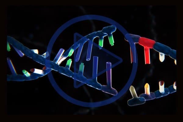 You can get an overview of CRISPR-Cas9 genome editing technology In this beautifully animated video. 