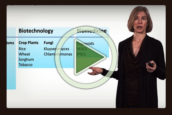 Jennifer Doudna, Professor of the Departments of Chemistry and of Molecular and Cell Biology at University of California, gives us an in-depth overview of what we informally called the cut / copy / paste technique, known officially as CRISPR-Cas9 technology.